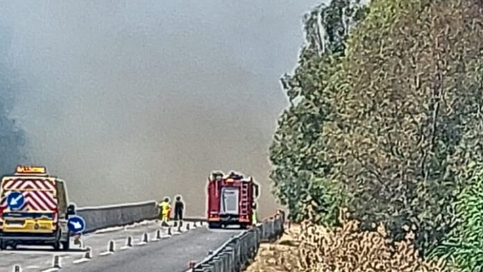 incendio_A29dir_Segesta-Fulgatore_1