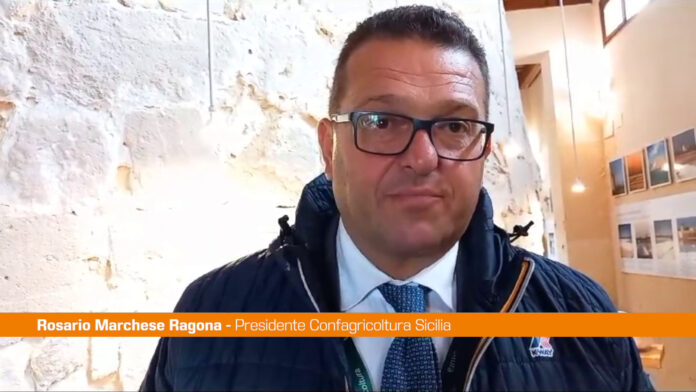 Ragona