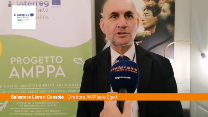 Progetto AMPPA, Livreri Console