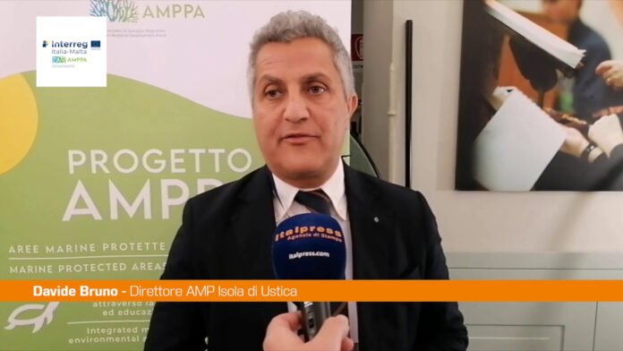 Progetto AMPPA, Bruno